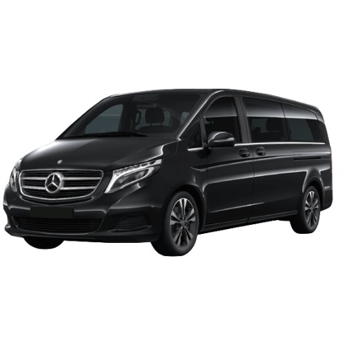 Mercedes Viano