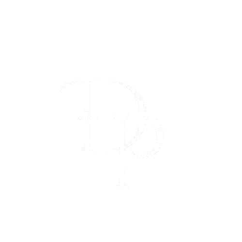 Driver Plus Logo